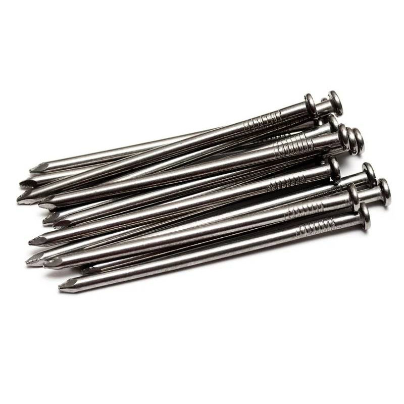 Common Steel Nails manufacturer in jigini