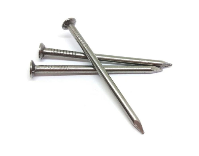 Common Steel Nails manufacturer in jigini